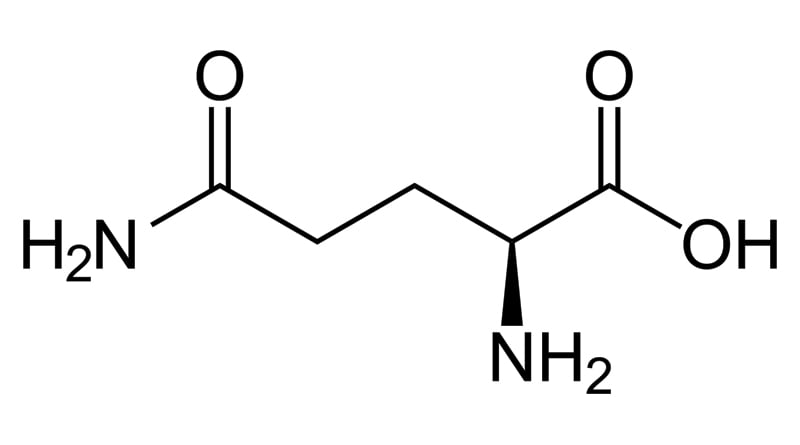 گلوتامین