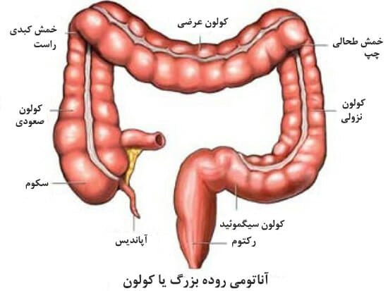 همه چیز درباره یبوست و میانبرهای برطرف کردن آن